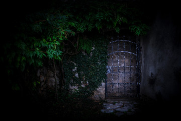 Old metal gate to the secret garden, covered with green ivy