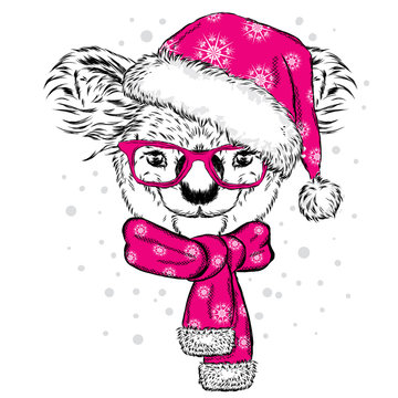 Cute koala with glasses, hat and scarf. Vector illustration. Scarf, hat and glasses. Postcard or poster. Print on clothes. New Year's and Christmas. Bear.