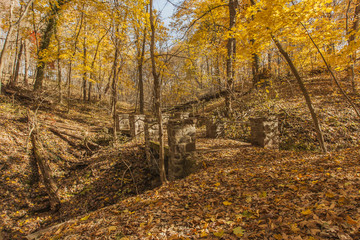 Obraz premium Autumn woods and stone footbridge