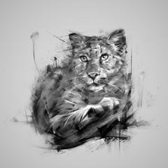 painted lying monochrome panther © khius