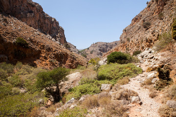 Fototapeta premium Gorges sauvages crétoises 