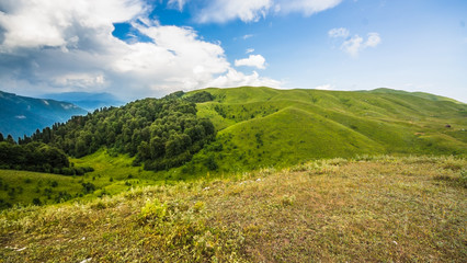 Альпийские луга