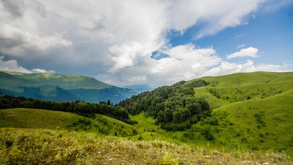 Альпийские луга