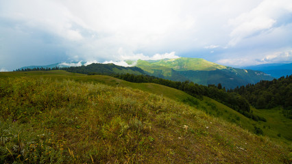 Альпийские луга