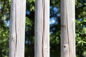 White fence, trees background