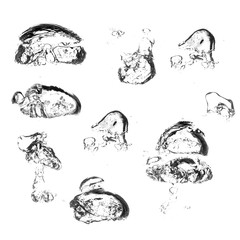 Bubbles of water over white background