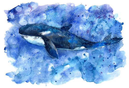 Big Blue Killer Whale and water.Watercolor hand drawn illustration. Realistic underwater animal art.