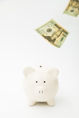 Piggy Bank with Raining Dollars 