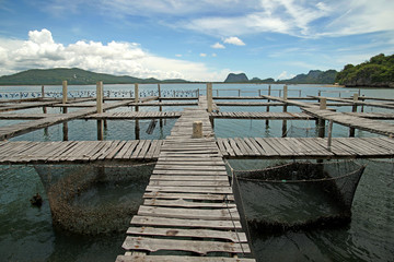 Fototapeta premium wooden jetty in the sea