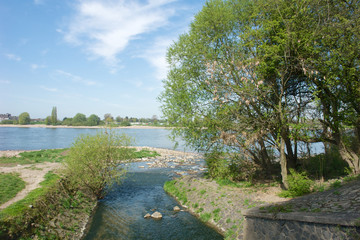 Rheinzufluss