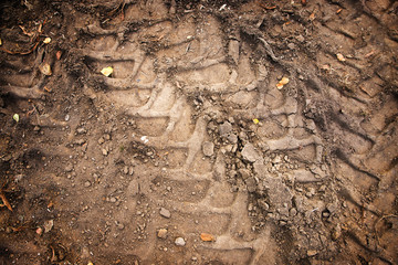 lane of tractor or truck tires on the field as a background texture