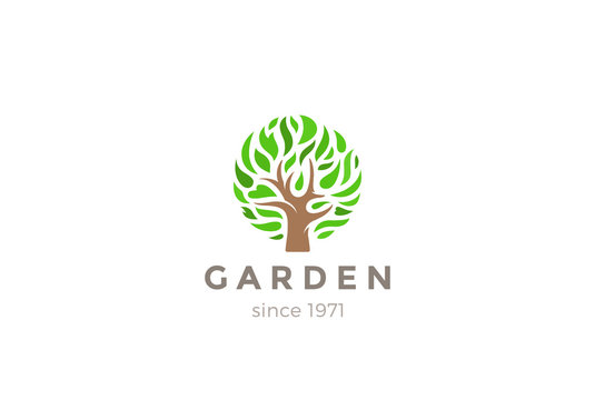 Green Leaves Tree Logo design vector. Eco Garden Logotype icon