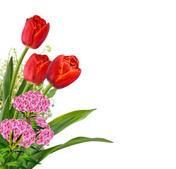 The branch of lilies of the valley flowers isolated on white bac