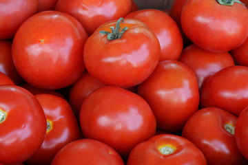 Red tomatoes pile closeup