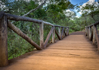 Fototapeta na wymiar Wooden bridge on a path in the Mangabeiras Park - Belo Horizonte, Minas Gerais, Brazil. April 2016