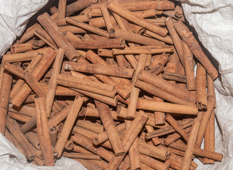 Picture of dry cinnamon crust in indian store