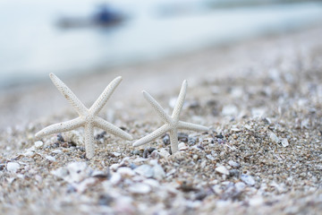 Starfish at the sandy summer beach with blue sea in the background with small waves. Travel, holiday and vacation in the summer tranquility getaway and relaxation concept.