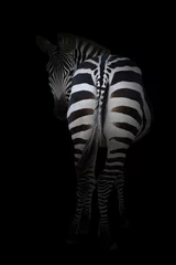 Tuinposter zebra in het donker © anankkml
