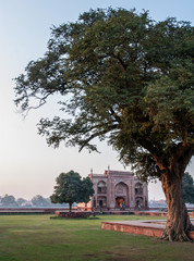 Fototapeta na wymiar Historic building in Agra India during magic hour light with old tree