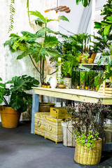 Relaxing area in cozy garden./ Relaxing area with garden object decoration on shelf in cozy garden. 