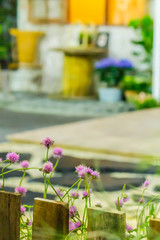 Relaxing area in cozy garden./ Relaxing area with garden object decoration on shelf in cozy garden. 