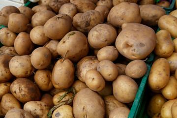 Group of Potatoes