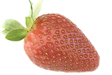 Single luscious ripe red strawberry