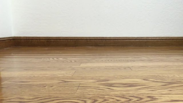 4K HD video of a four week old orange and white long haired tabby kitten walking into the frame then right back out changing his mind. Wood floor, wood floorboard with off white wall. Low camera angle