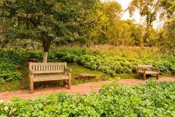 Fototapeta na wymiar Beautiful wooden garden chair in the garden