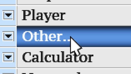 Other. My own design of program menu.