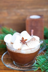 Obraz na płótnie Canvas Winter hot drink. Christmas hot cocoa with marshmallow and spices.