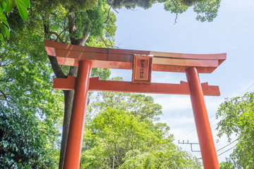 Torii of Izusan shrine