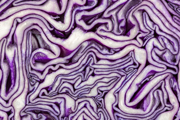 ein aufgeschnittener Rotkohl