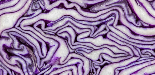 Obraz premium ein aufgeschnittener Rotkohl