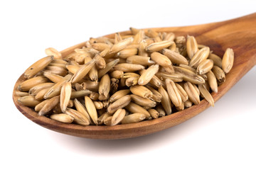 organic oat grains
