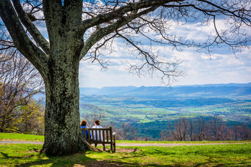 Bench and tree, with view of the Blue Ridge at Dickey Ridge Visi