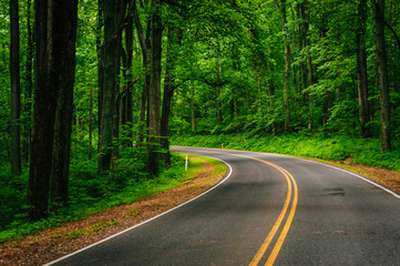 Fototapeta na wymiar Curve along Skyline Drive in the woods, in Shenandoah National P