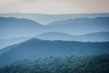 Layers of the Blue Ridge, seen from Skyline Drive, in Shenandoah