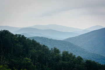 Layers of the Blue Ridge, seen in Shenandoah National Park, Virg