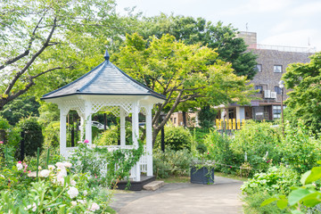 Garden of Minato-no-mieru Oka Park