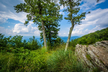 Fototapeta na wymiar Rocks and trees at Jewell Hollow Overlook in Shenandoah National