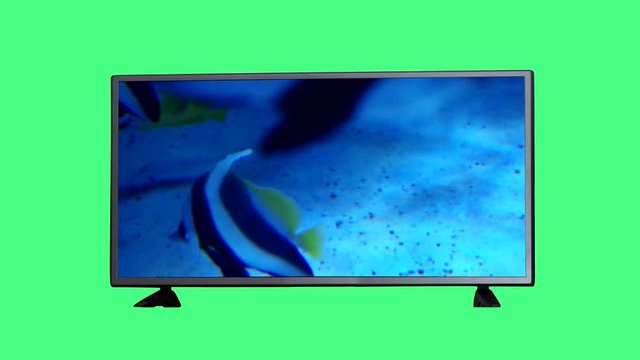 TV and fish on a green screen