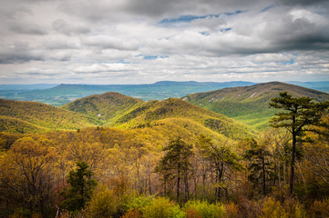 Spring view of the Blue Ridge Mountains and Shenandoah Valley, f