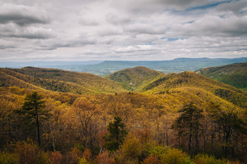 Spring view of the Blue Ridge Mountains and Shenandoah Valley, f