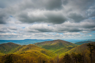 Spring view of the Blue Ridge Mountains and Shenandoah Valley, f