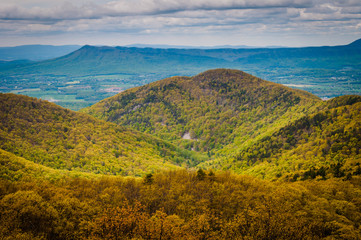 Spring view of the Blue Ridge Mountains and Shenandoah Valley, f