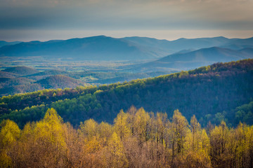 Fototapeta na wymiar Spring view of the Blue Ridge and Shenandoah Valley from Skyline
