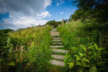 Fototapeta na wymiar Stairs on a trail in Shenandoah National Park, Virginia.
