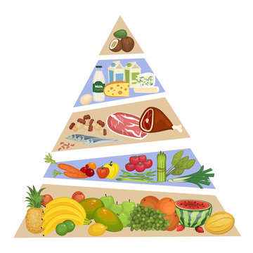 Food pyramid. Fruits, vegetables, meat and fish, dairy products vector illustrations in order of importance. Components of recommended ration. For healthy nutrition illustrating. Isolated on white