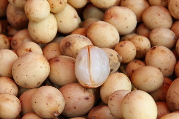 Sonnengereifte Lanzones, Philippinen